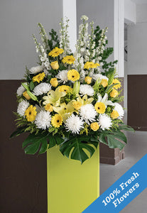 Gracious Memorial