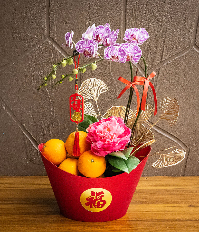 DragonYear Fortune with Phalaenopsis from Taiwan