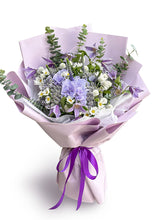 Lavender Lullaby